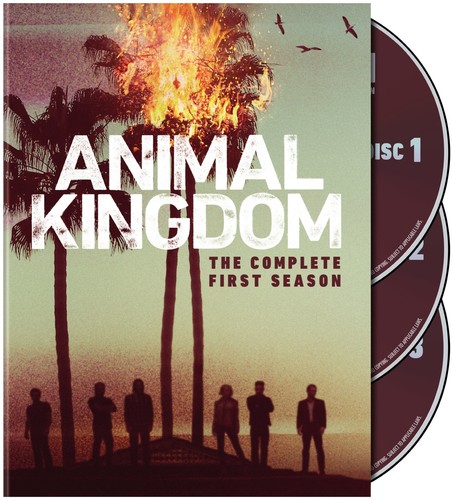 【輸入盤DVD】【新品】【1】ANIMAL KINGDOM: COMPLETE FIRST SEASON