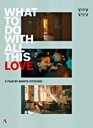 【輸入盤DVD】【新品】VA/WHAT TO DO WITH ALL THIS LOVE (2020/8/28発売)