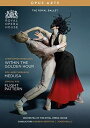 【輸入盤DVD】【新品】VIVALDI/ROYAL BALLET/GRIFFITHS / WITHIN THE GOLDEN HOUR (2020/1/24発売...