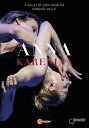 【輸入盤DVD】【新品】TCHAIKOVSKY/MARTINEZ/SCHNITTKE / ANNA KARENINA (2PC) (2023/5/26発売)
