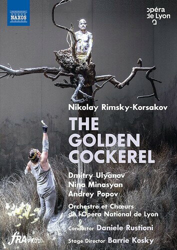 【輸入盤DVD】【新品】RIMSKY-KORSAKOV/MINASYAN / GOLDEN COCKEREL【DM2022/8/12発売】