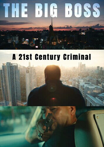 【輸入盤DVD】BIG BOSS: A 21ST CENTURY CRIMINAL【D2023/7/11発売】 1