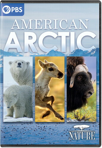 【輸入盤DVD】【新品】【1】NATURE: AMERICAN ARCTIC