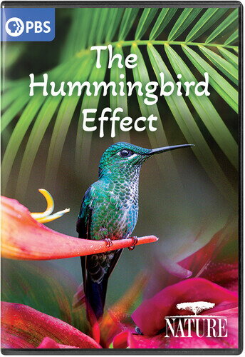 yADVDzNATURE: THE HUMMINGBIRD EFFECTyD2023/6/20z
