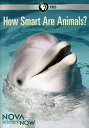 【輸入盤DVD】【1】NOVA SCIENCE NOW: HOW SMART ARE ANIMALS