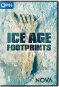 【輸入盤DVD】【新品】【1】NOVA: ICE AGE FOOTPRINTS