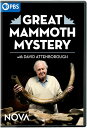 【輸入盤DVD】【新品】【1】NOVA: GREAT MAMMOTH MYSTERY