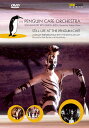 【輸入盤DVD】【0】Penguin Cafe Orchestra / The Penguin Cafe Orchestra/Still Life at the Penguin Cafe 1