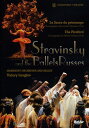 【輸入盤DVD】【新品】【0】Stravinsky/Mariinsky Ballet/Gergiev/Losifidi / Stravinsky & the B...
