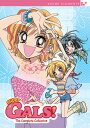 【輸入盤DVD】【1】Super Gals: Complete Series - Collection (S1+2) / Super Gals! The Complete Series - Collection (S1+2) - Anime Elements