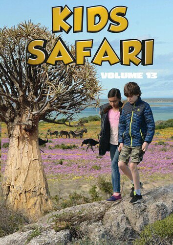 【輸入盤DVD】【新品】KIDS SAFARI: VOLUME THIRTEEN【D2024/07/09発売】