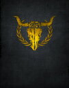 【輸入盤DVD】【新品】25 Years Of Wacken: Snapshots Scraps Thoughts & / 25 Years of Wacken...