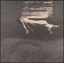 【輸入盤CD】Bill Evans & Jim Hall / Undercurrent (ビル・エヴァンス)