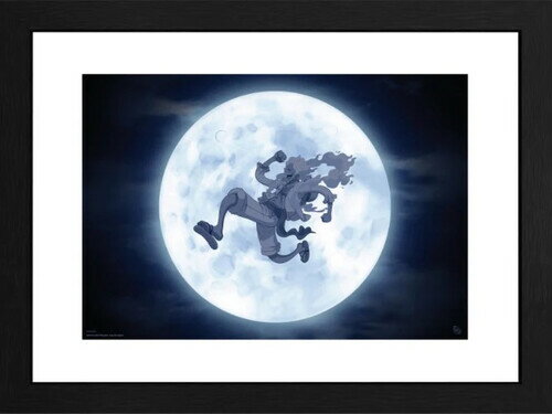 フレーム【新品】One Piece - Framed Print - Nika (12