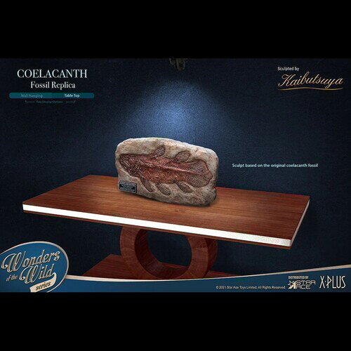Wonders of the Wild Series - Coelacanth Fossil Replica Statue