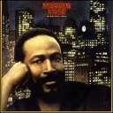 yACDzMarvin Gaye / Midnight Love (}[BEQC)