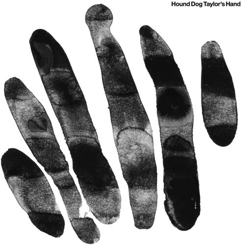 【輸入盤LPレコード】【新品】Hound Dog Taylor's Hand / Hound Dog Taylor's Hand...