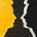 Tom Misch / Geography (Black)【輸入盤LPレコード】【LP2018/4/6発売】