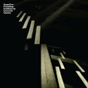 【輸入盤LPレコード】【即納】【新品】Roger Eno & Plumbline / Endless City/Concrete Jungle (w/CD) (...