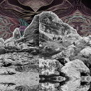 【輸入盤LPレコード】【新品】All Them Witches / Dying Surfer Meets His Maker (Colored Vinyl) (...
