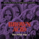 【輸入盤LPレコード】【新品】VA / Brown Acid - The Fifth Trip【LP2017/10/27発売】(2)