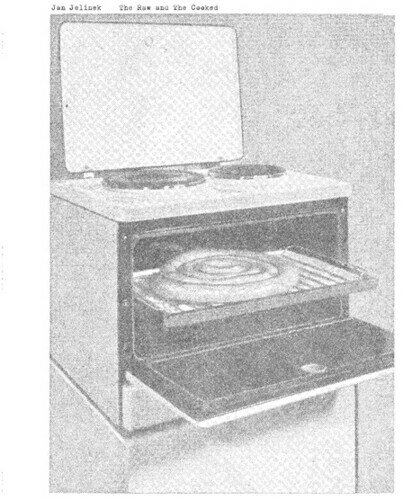 【輸入盤LPレコード】【新品】Jan Jelinek / Raw & Cooked【LP2021/10/8発売】