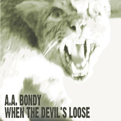 【輸入盤LPレコード】A.A. Bondy / When The Devil's Loose