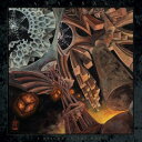 【輸入盤LPレコード】【新品】Abyssal / A Beacon In The Husk【LP2019/6/21発売】