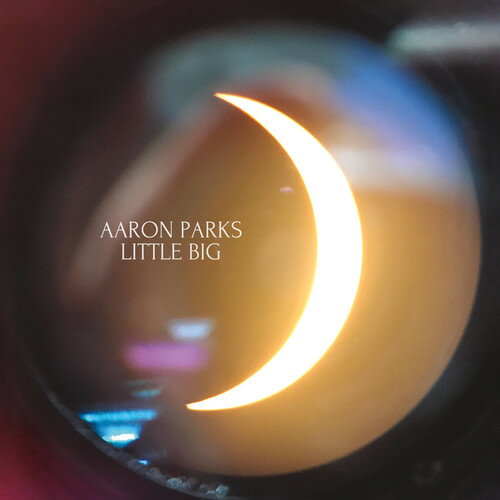 【輸入盤LPレコード】Aaron Parks / Little Big【LP2018/11/9発売】(アーロンパークス)