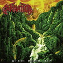 【輸入盤LPレコード】【新品】Carnation / Where Death Lies【LP2020/9/18発売】