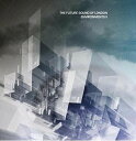 【輸入盤LPレコード】【新品】Future Sound Of London / Environments 2 (UK盤)