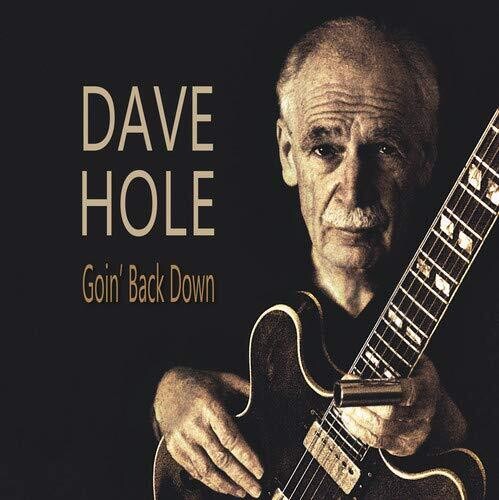 【輸入盤LPレコード】【新品】Dave Hole / Goin' Back Down【LP2018/6/29発売】