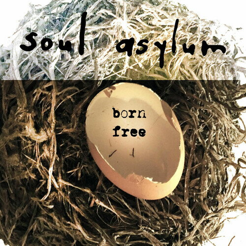 【輸入盤LPレコード】【新品】Soul Asylum / Born Free【LP2021/8/27発売】(ソウルアサイラム) 【輸入盤LPレコード】【新品】Soul Asylum / Born Free【LP2021/8/27発売】(ソウルアサイラム)