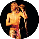 【輸入盤LPレコード】Iggy The Stooges / More Power - A Gorgeous Picture Disc Vinyl (Picture Disc)【LP2020/10/23発売】(イギー ザストゥージズ)