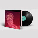【輸入盤LPレコード】【新品】Max Richter / Voices【LP2020/8/14発売】