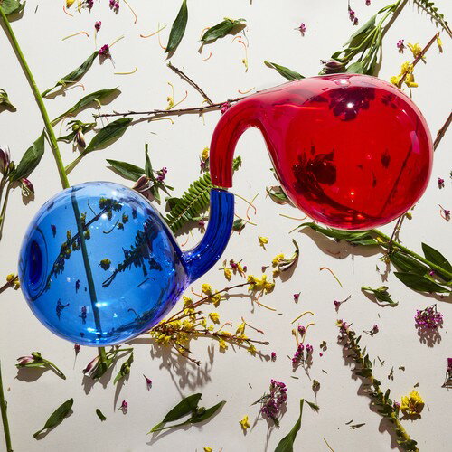 【輸入盤LPレコード】【新品】Dirty Projectors / Lamp Lit Prose【LP2018/7/13発売】
