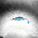 【輸入盤LPレコード】【新品】Stafraenn Hakon / Aftur (Blue) (Clear Vinyl) (Gatefold LP Jacket)...