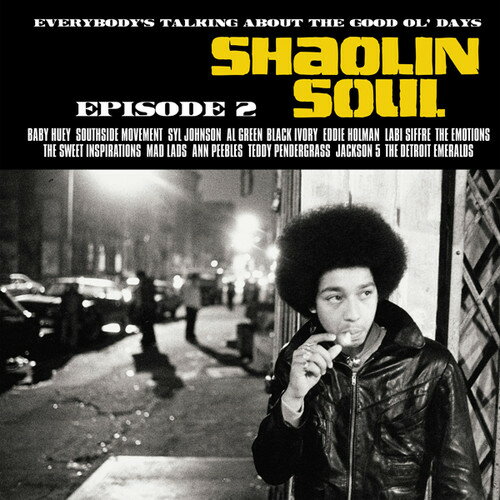 【輸入盤LPレコード】【新品】VA / Shaolin Soul Episode 2 (w/CD) (3PK)【LP2018/4/20発売】
