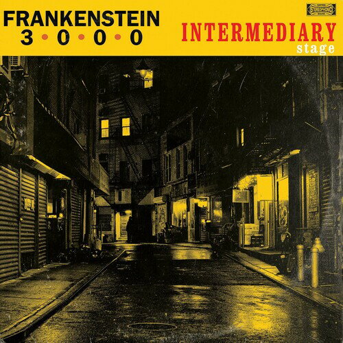 【輸入盤LPレコード】Frankenstein 3000 / Intermediary Stage【LP2020/7/24発売】