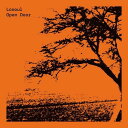 【輸入盤LPレコード】【新品】Losoul / Open Door (EP)【LP2022/11/11発売】