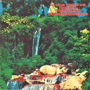【輸入盤LPレコード】【新品】Tatsuhiko Asano / In The Wake Of Doshin, The Giant【LP2022/6/3発売】