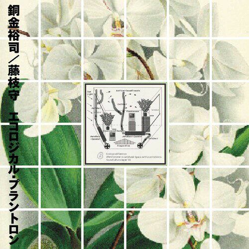 【輸入盤LPレコード】Yuji Dogane/Mamoru Fujieda / Ecological Plantron【LP2023/2/24発売】