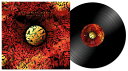 【輸入盤LPレコード】【新品】Tangerine Dream / Machu Picchu (140gram Vinyl)【LP2022/8/5発売】(2)