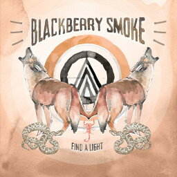 【輸入盤LPレコード】Blackberry Smoke / Find A Light【LP2018/4/6発売】(ブラックベリースモーク)