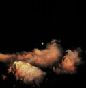 【輸入盤LPレコード】【新品】Bvdub / Decades On Divided Stars (2PK)【LP2022/8/26発売】