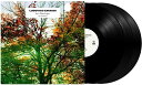【輸入盤LPレコード】【新品】Ludovico Einaudi / In A Time Lapse (Bonus Tracks) (Anniversary Ed...