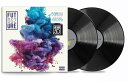 【輸入盤LPレコード】【新品】Future / DS2【LP2023/10/20発売】(フューチャー)