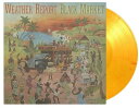 【輸入盤LPレコード】Weather Report / Black Market (Colored Vinyl) (Limited Edition) (180gram Vinyl) (Orange)【LP2023/10/13発売】(ウェザー・リポート)