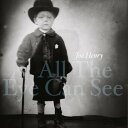 【輸入盤LPレコード】【新品】Joe Henry / All The Eye Can See【LP2023/1/27発売】