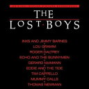 【輸入盤LPレコード】【新品】Soundtrack / LOST BOYS (Colored Vinyl, Red, Limited Edition)【LP20...